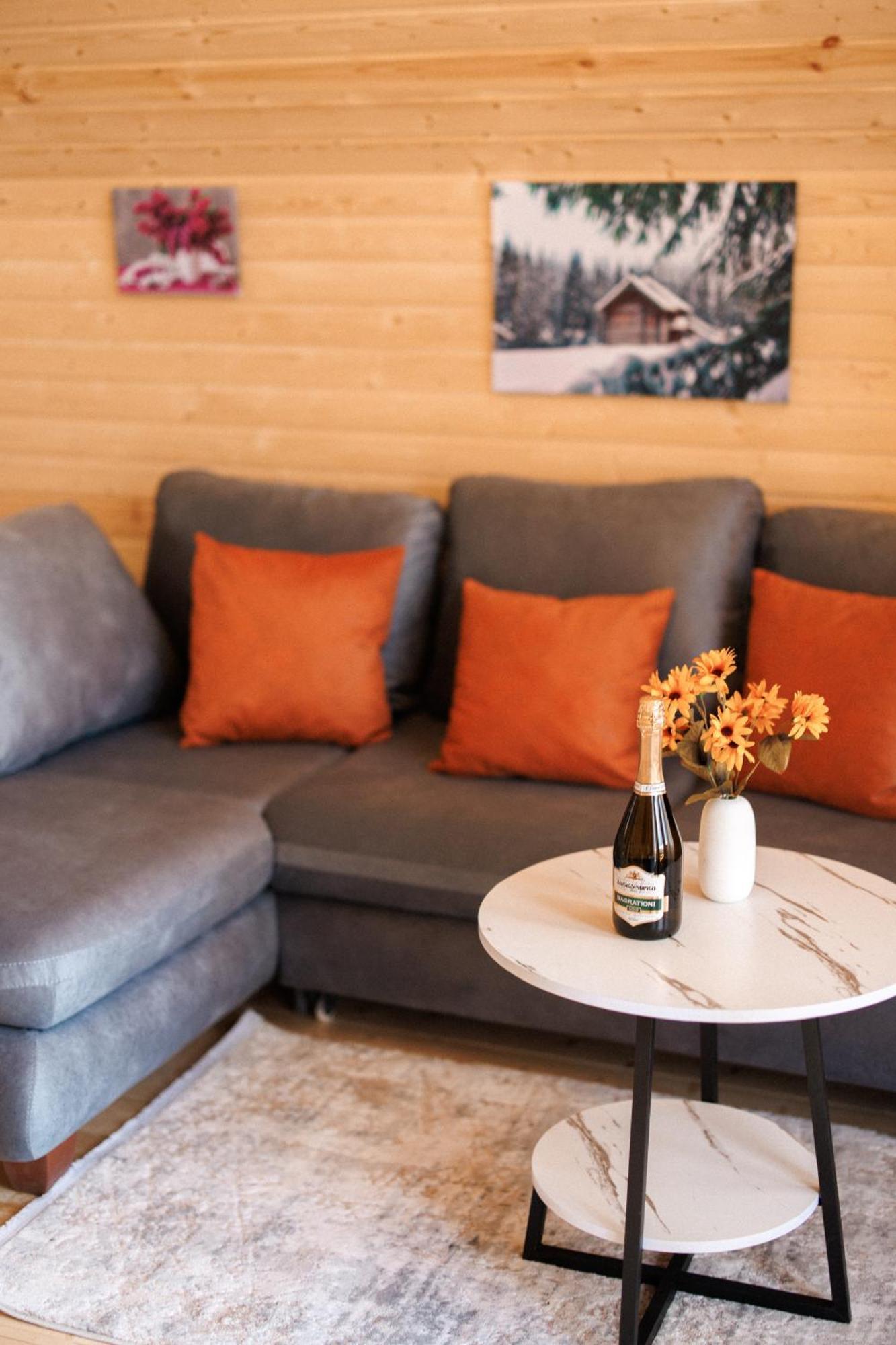 Smart Via Kazbegi Villa ภายนอก รูปภาพ