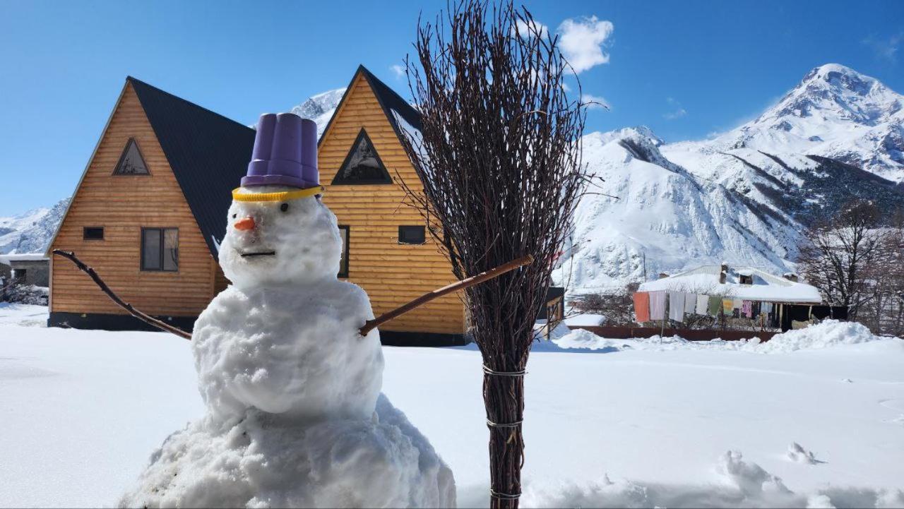 Smart Via Kazbegi Villa ภายนอก รูปภาพ